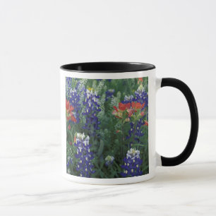 Taza EE. UU., Texas Hill Country. Bluebonnets y