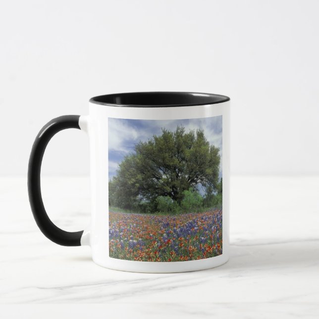 Taza EE. UU., Texas, Marble Falls Paintbrush y (Izquierda)