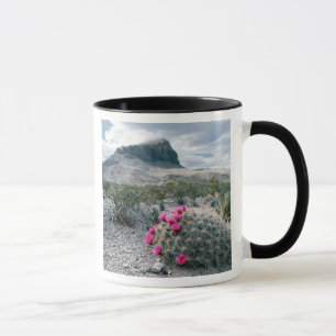 Taza EE. UU., Texas, Parque Nacional Big Bend. Florecie