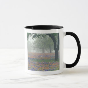 Taza EE. UU., Texas. Pincel de Texas y bluebonnets