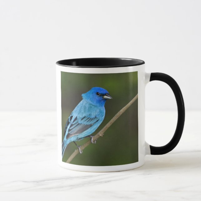 Taza EE. UU., Texas, South Padre Island (Derecha)