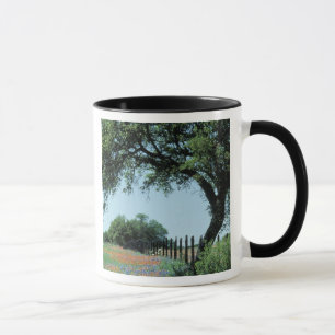 Taza EE. UU., Texas, Texas Hill Country Paintbrush y