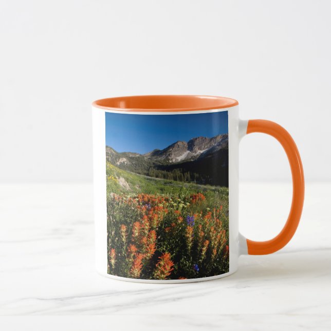 Taza EE. UU., Utah, Bosque Nacional Uinta-Wasatch-Cache (Derecha)