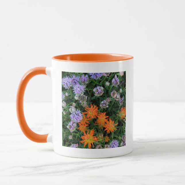 Taza EE. UU., Utah, Bosque Nacional Uinta-Wasatch-Cache (Izquierda)