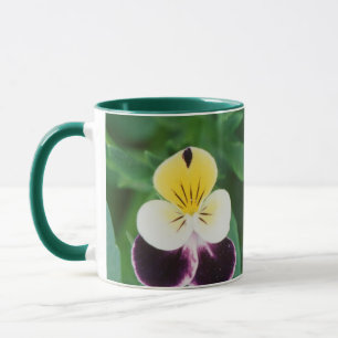 Taza EE. UU., Utah, Cache Valley, Johnny Jump Up
