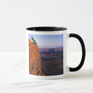 Taza EE. UU., Utah, Dead Horse Point SP. Luz tardía se