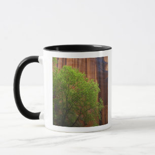 Taza EE. UU., Utah, Paria Canyon- Vermillion Cliffs