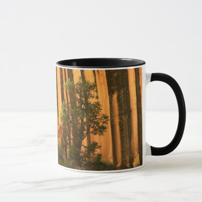 Taza EE. UU., Utah, Parque Nacional Capitol Reef (Derecha)