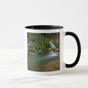 Taza EE. UU., Utah, Parque Nacional Zion. El Virgin