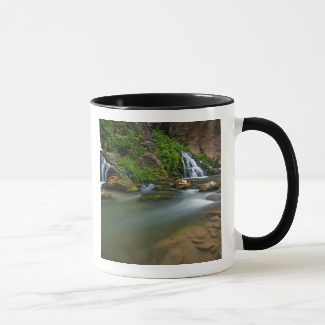 Taza EE. UU., Utah, Parque Nacional Zion. El Virgin (Derecha)