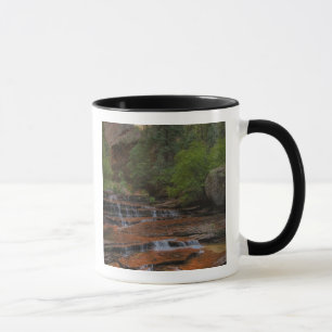 Taza EE. UU., Utah, Parque Nacional Zion.  Escénico des