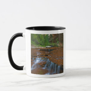 Taza EE. UU., Utah, Parque Nacional Zion. Escénico desd
