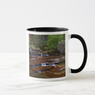 Taza EE. UU., Utah, Parque Nacional Zion. Escénico desd