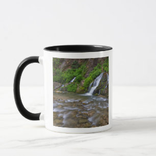 Taza EE. UU., Utah, Parque Nacional Zion. Grandes manan