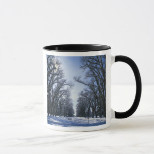 Taza EE. UU., Utah, Salt Lake City, Liberty Park,