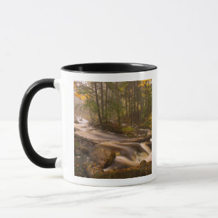 Taza EE.UU., Vermont, East Arlington, Flujos 2