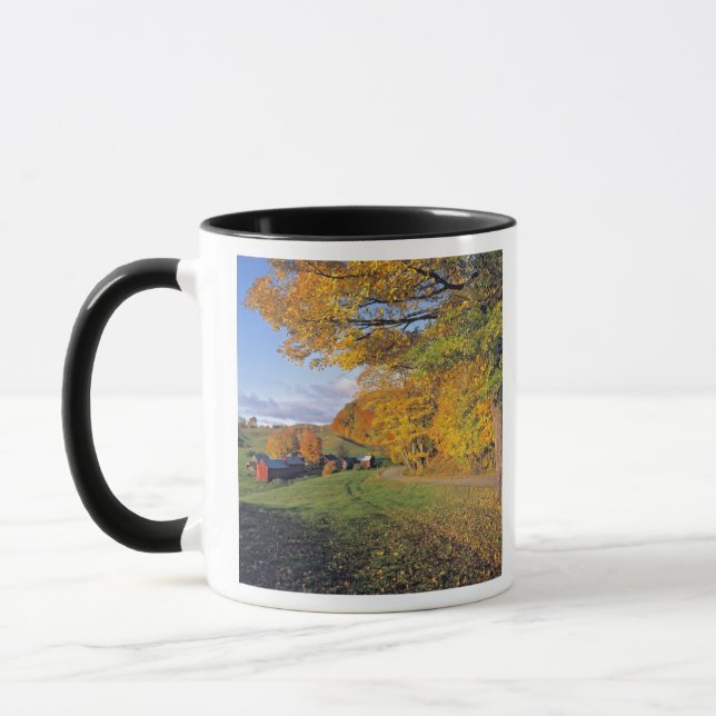 Taza EE. UU., Vermont, granja Jenne. El otoño llega a J (Izquierda)