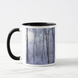 Taza EE. UU., Virginia, Área silvestre Richard Thompson