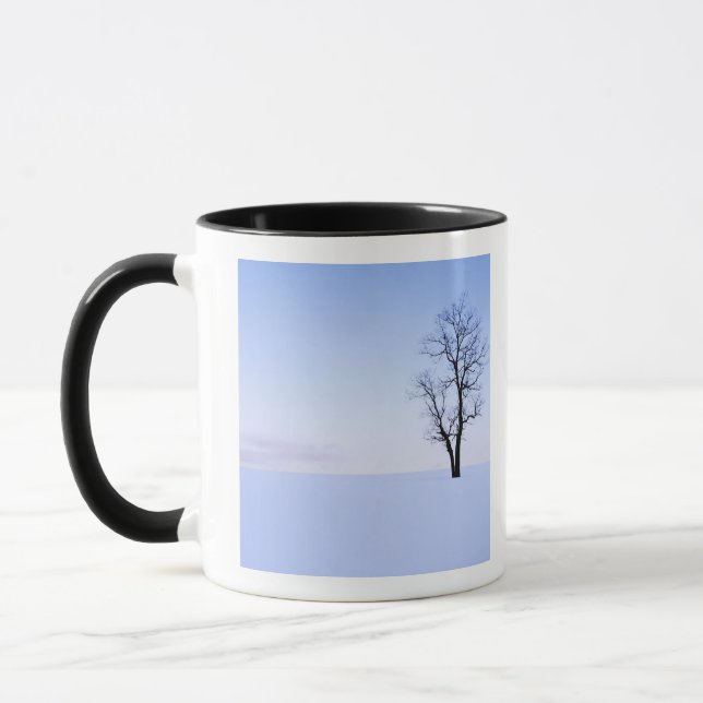 Taza EE. UU., Virginia, condado de Page, falsa acacia (Izquierda)