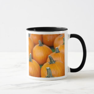 Taza EE. UU., Virginia Occidental, Charleston. Capitol 