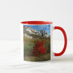 Taza EE. UU., Virginia Occidental, Spruce Knob-Seneca R