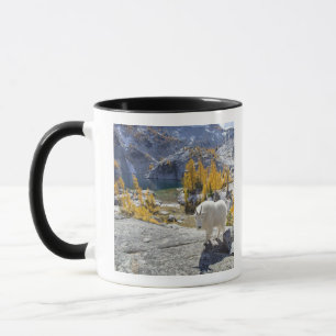 Taza EE. UU., WA, Alpine Lakes WIlderness Enchantments.