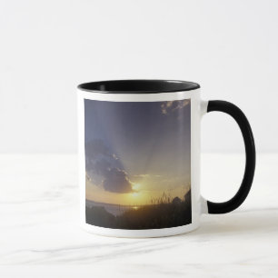 Taza EE. UU., Washington, cerca de Port Townsend. Punto