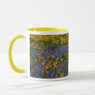 Taza EE. UU., Washington, Columbia River Gorge National
