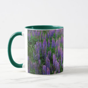 Taza EE.UU., Washington, condado de Clallam, Lupine