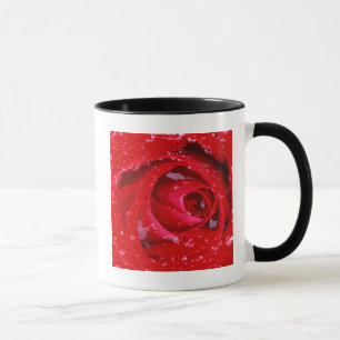 Taza EE. UU., Washington, condado de Spokane, parque Ma
