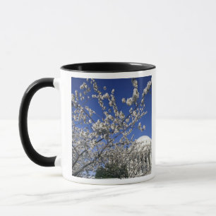 Taza EE. UU., Washington DC. Festival de la Flor de Cer