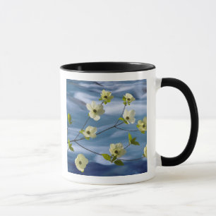 Taza EE. UU., Washington, Hood Canal. Flor de dogwood d