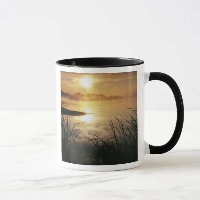 Taza EE. UU., Washington, isla Lopez, Niebla matutina e (Derecha)