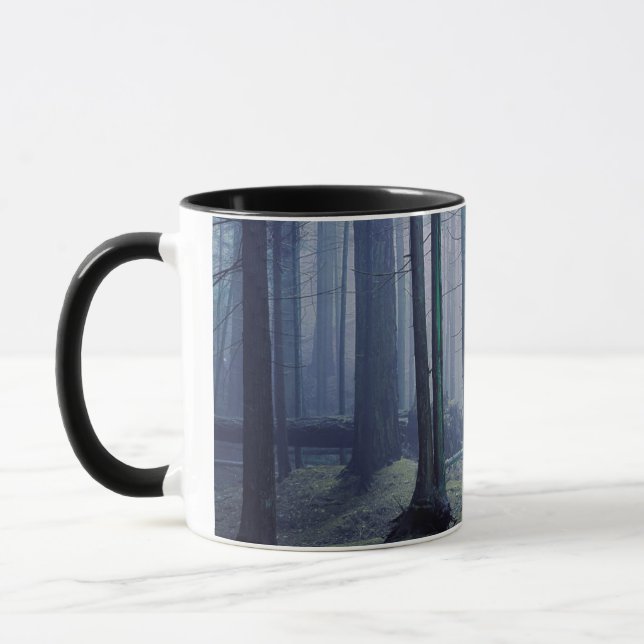 Taza EE. UU., Washington, Isla Orcas, Parque Estatal Mo (Izquierda)