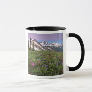 Taza EE. UU., Washington, Montañas Cascade, Norte