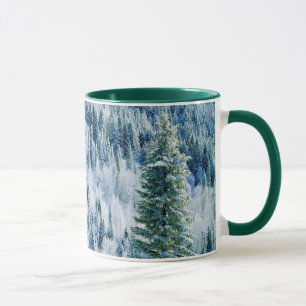 Taza EE. UU., Washington, Mt. Spokane State Park, Aspen