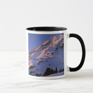 Taza EE. UU., Washington, Parque Nacional Mt. Rainier