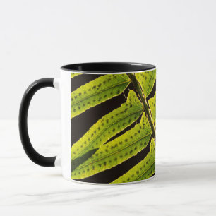 Taza EE. UU., Washington, Parque Nacional Olímpico, Con