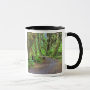 Taza EE. UU., Washington, Parque Nacional Olímpico, Hoh