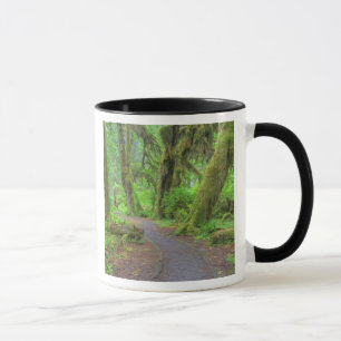 Taza EE. UU., Washington, Parque Nacional Olímpico, llu