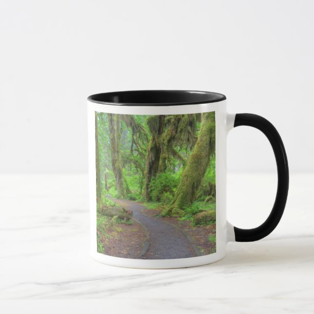 Taza EE. UU., Washington, Parque Nacional Olímpico, llu (Derecha)