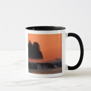 Taza EE. UU., Washington, Parque Nacional Olímpico, Mar