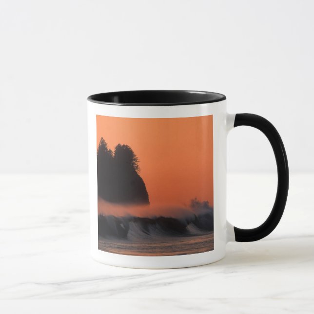 Taza EE. UU., Washington, Parque Nacional Olímpico, Mar (Derecha)