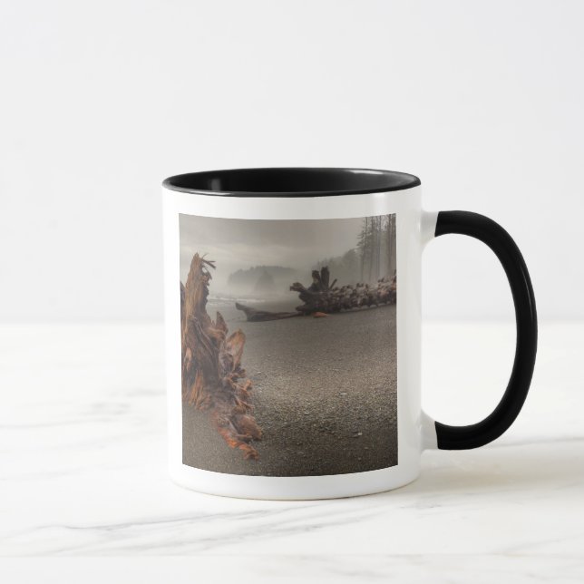 Taza EE. UU., Washington, Parque Nacional Olímpico, Ria (Derecha)