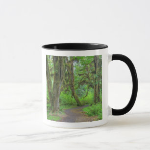 Taza EE. UU., Washington, Parque Nacional Olympic, Hoh