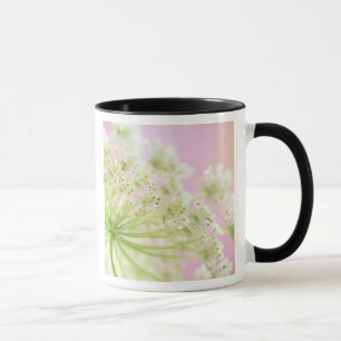 Taza EE. UU., Washington, Primer plano de la hierba de
