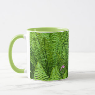 Taza EE. UU., Washington, Seattle, Washington Park