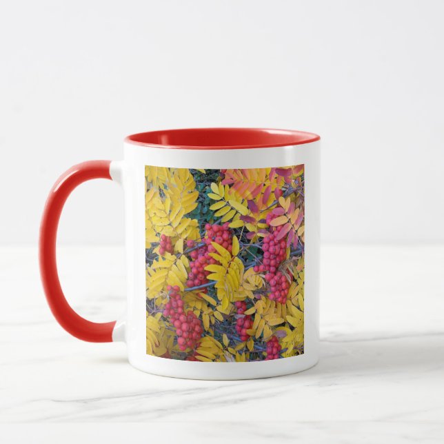 Taza EE. UU., Washington, Serbal de Sitka, Okanogan (Izquierda)