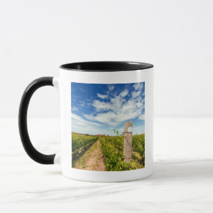 Taza EE. UU., Washington, Walla Walla. Cabernet Sauvign