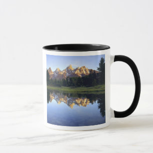 Taza EE. UU., Wyoming, Parque Nacional Grand Teton. Gra